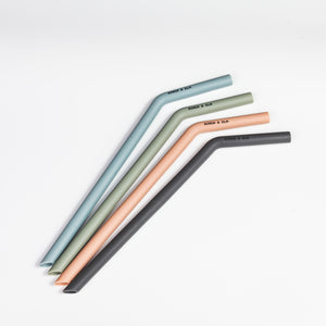 Birch Bendy Silicone Straws